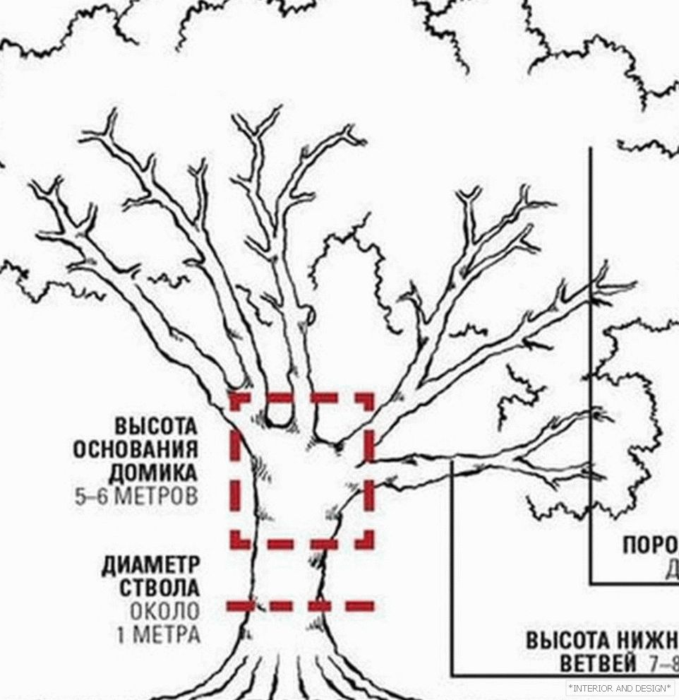 Схема пабудовы хаткі на тоўстым дрэве
