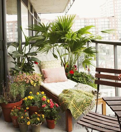 Прыгожы сад на балконе